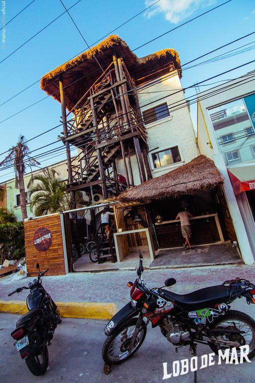 Lobo De Mar Hostel Playa del Carmen Exterior photo